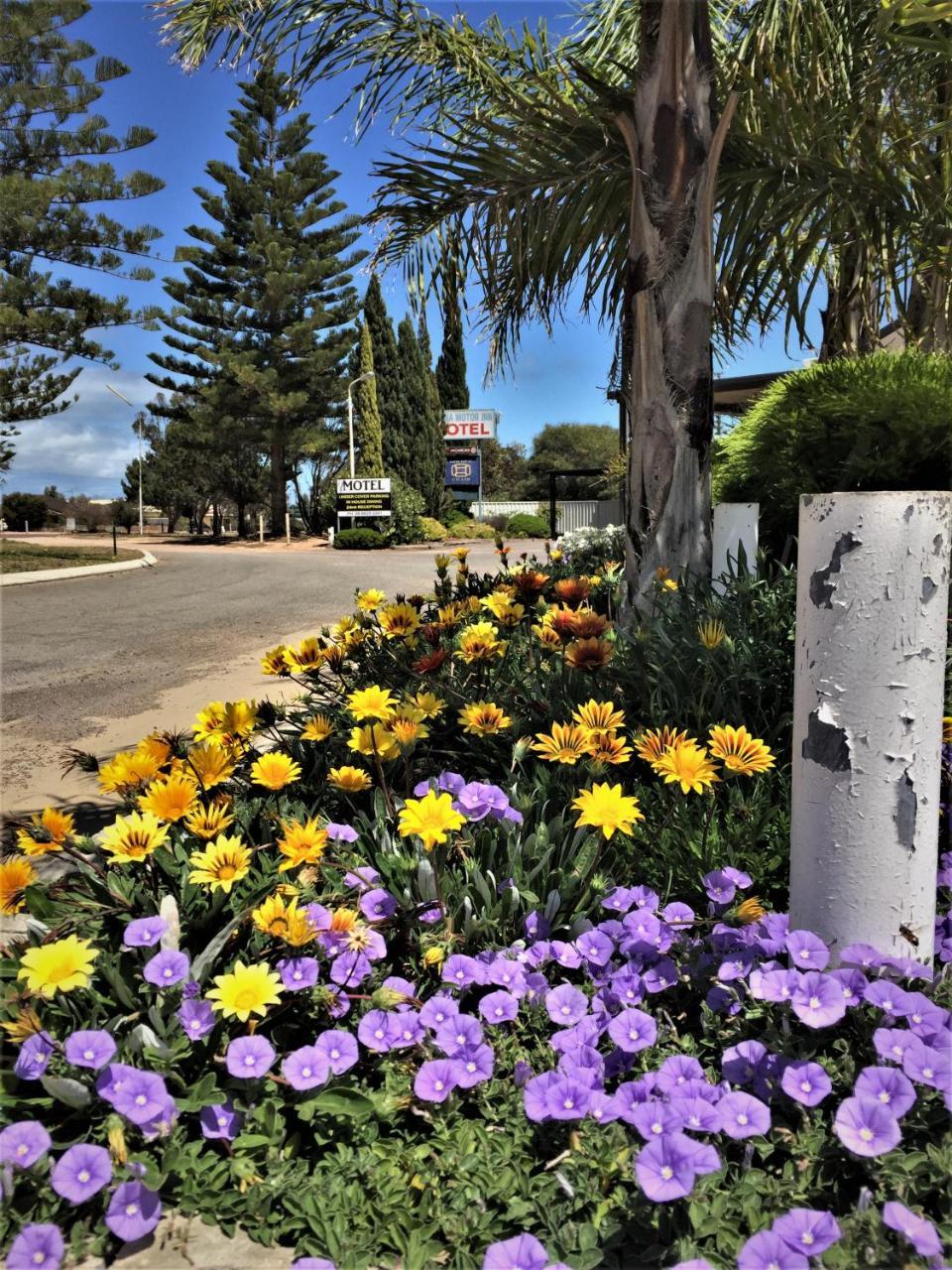 Ceduna Motor Inn Extérieur photo